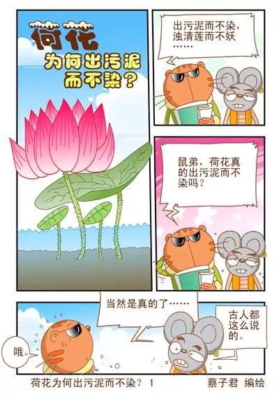 《猫和老鼠科普漫画》第5话 第1页