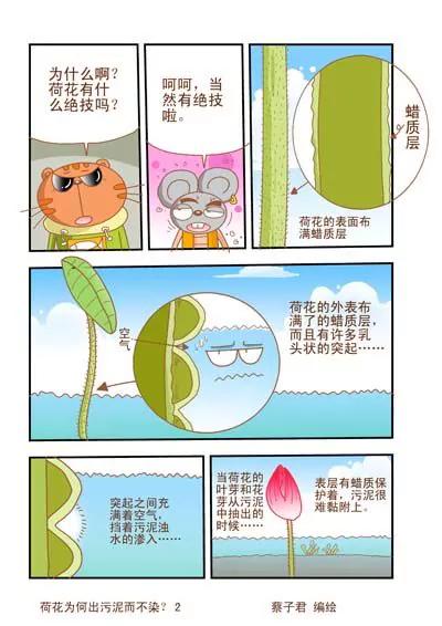 《猫和老鼠科普漫画》第5话 第2页