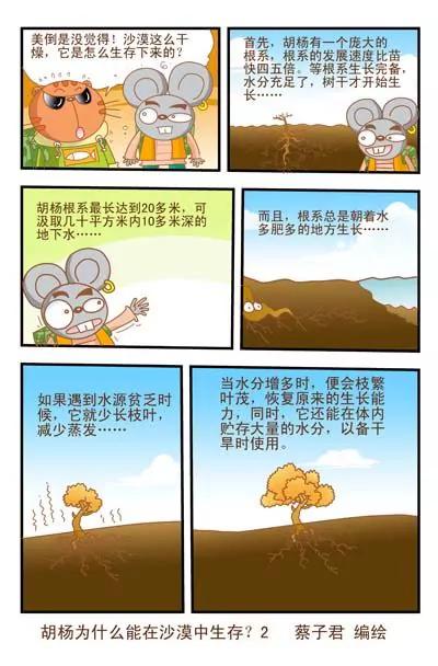 《猫和老鼠科普漫画》第7话 第2页
