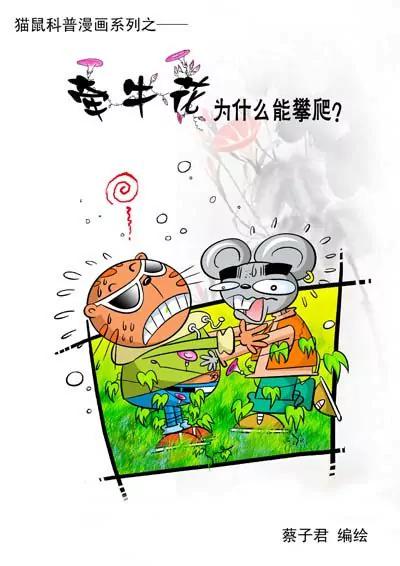 《猫和老鼠科普漫画》第11话 第1页