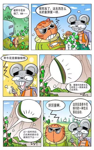 《猫和老鼠科普漫画》第11话 第3页