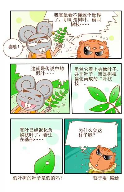 《猫和老鼠科普漫画》第9话 第3页