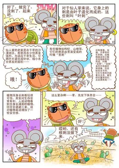 《猫和老鼠科普漫画》第16话 第2页