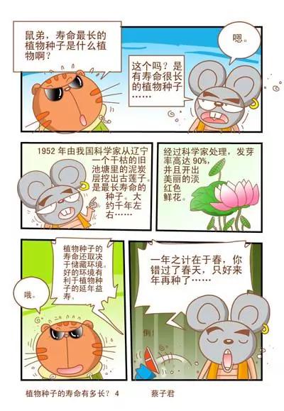 《猫和老鼠科普漫画》第19话 第4页