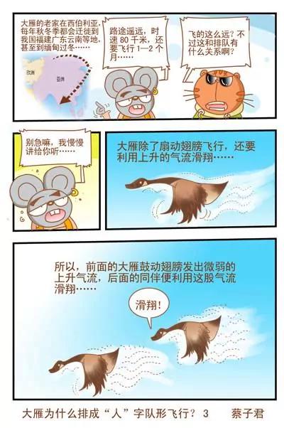 《猫和老鼠科普漫画》第28话 第3页