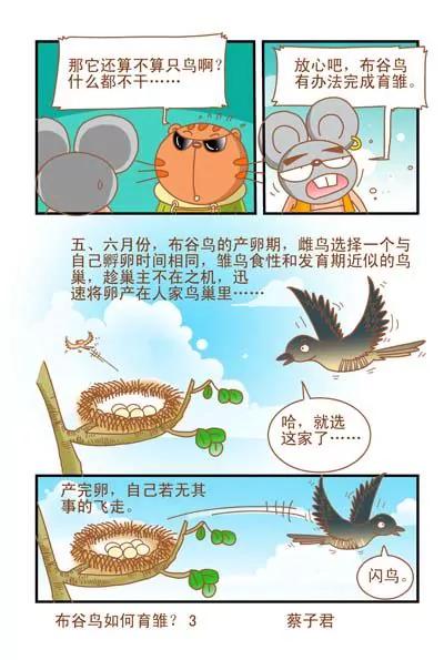 《猫和老鼠科普漫画》第25话 第3页