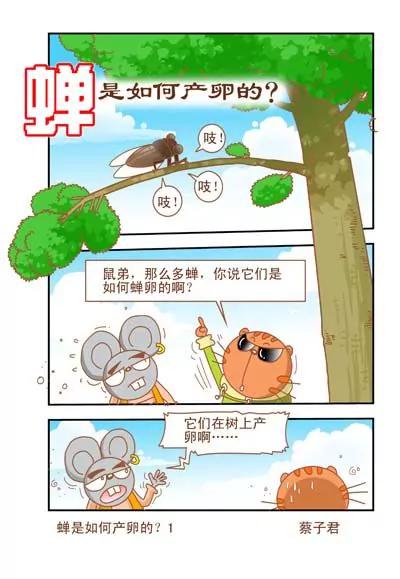 《猫和老鼠科普漫画》第26话 第1页