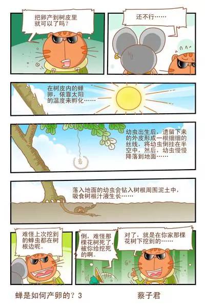 《猫和老鼠科普漫画》第26话 第5页