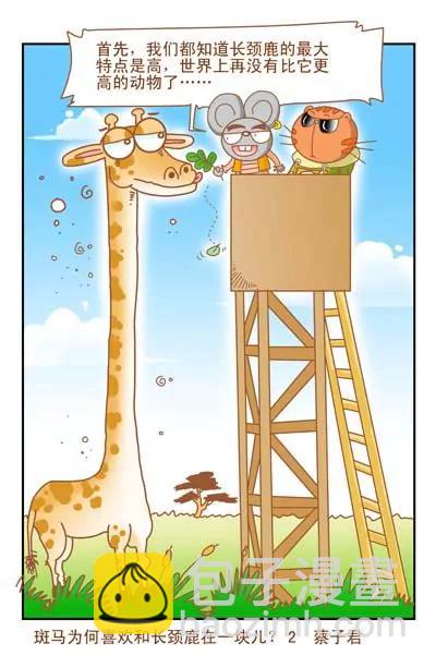 《猫和老鼠科普漫画》第21话 第2页