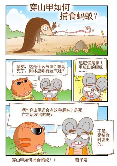 《猫和老鼠科普漫画》第27话 第1页