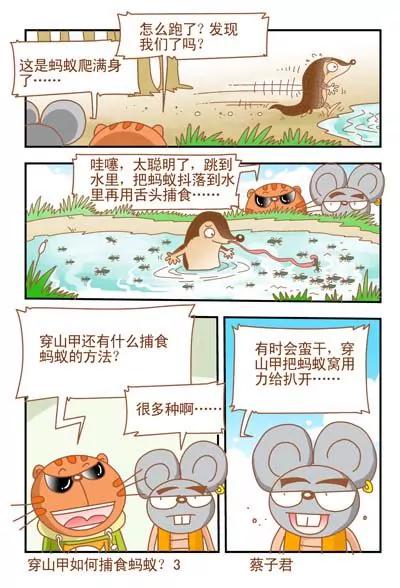 《猫和老鼠科普漫画》第27话 第3页