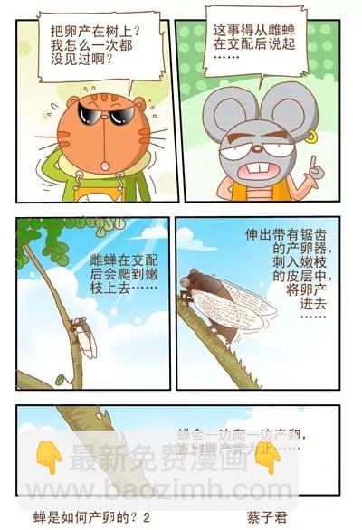 《猫和老鼠科普漫画》第26话 第4页