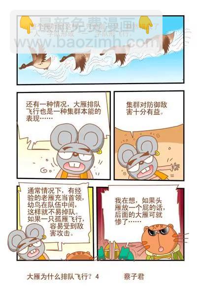 《猫和老鼠科普漫画》第28话 第4页
