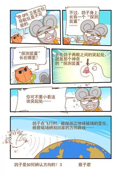 《猫和老鼠科普漫画》第30话 第3页