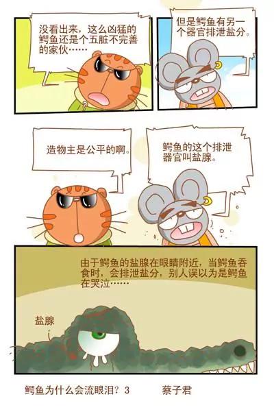 《猫和老鼠科普漫画》第29话 第3页