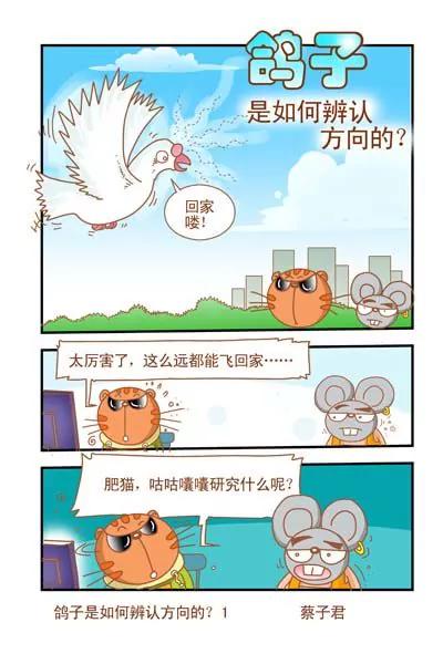 《猫和老鼠科普漫画》第30话 第1页