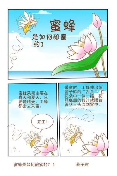 《猫和老鼠科普漫画》第36话 第1页