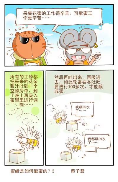 《猫和老鼠科普漫画》第36话 第3页