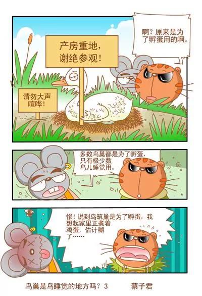 《猫和老鼠科普漫画》第37话 第3页