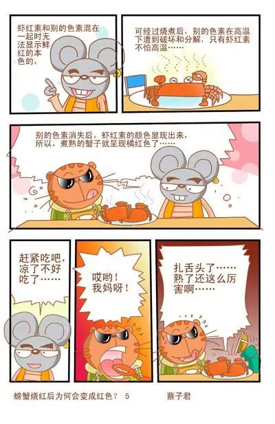 《猫和老鼠科普漫画》第38话 第5页