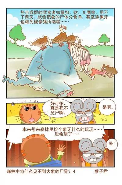 《猫和老鼠科普漫画》第39话 第4页