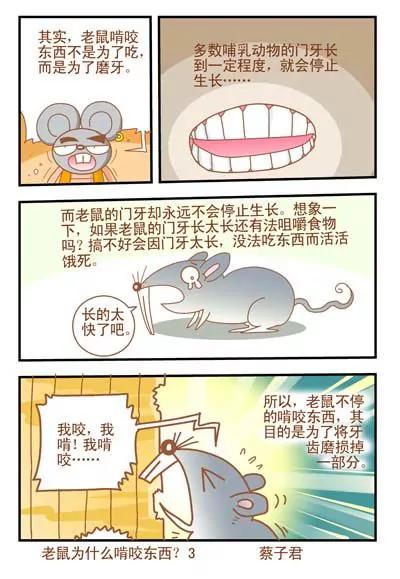 《猫和老鼠科普漫画》第35话 第3页
