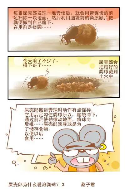 《猫和老鼠科普漫画》第44话 第3页