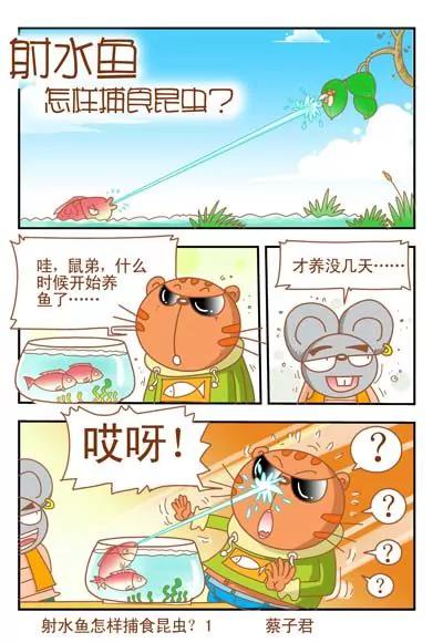 《猫和老鼠科普漫画》第41话 第1页