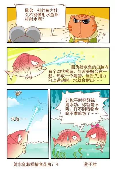 《猫和老鼠科普漫画》第41话 第4页