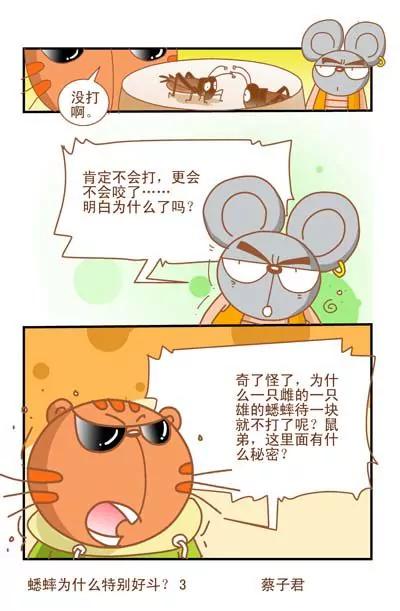 《猫和老鼠科普漫画》第48话 第3页