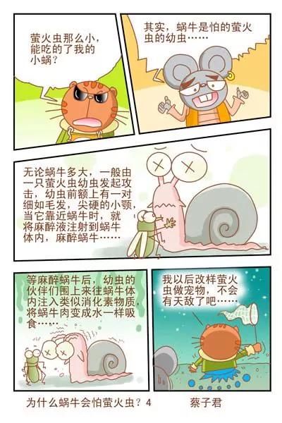 《猫和老鼠科普漫画》第47话 第4页
