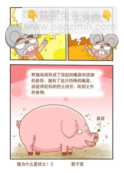 《猫和老鼠科普漫画》第51话 第3页