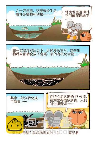 《猫和老鼠科普漫画》第53话 第3页