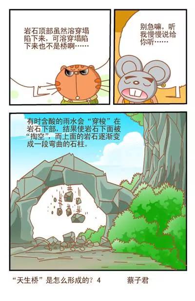《猫和老鼠科普漫画》第54话 第4页