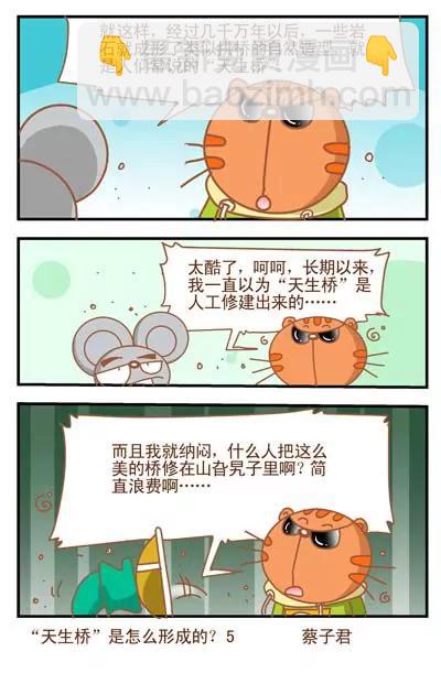 《猫和老鼠科普漫画》第54话 第5页