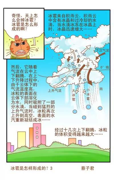 《猫和老鼠科普漫画》第55话 第3页