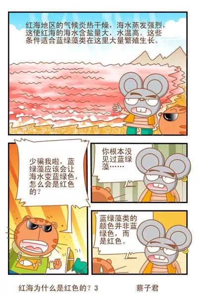 《猫和老鼠科普漫画》第64话 第3页