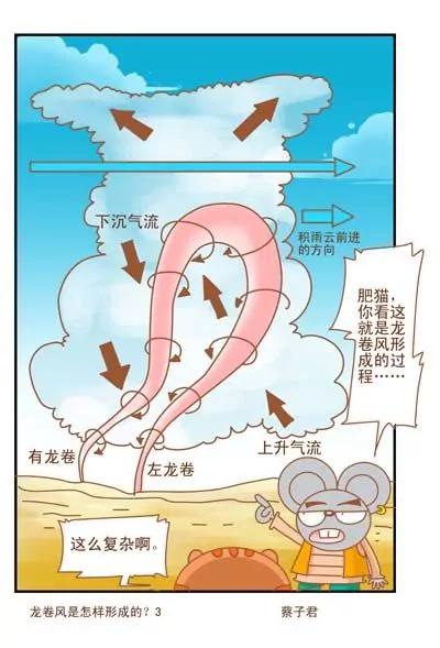 《猫和老鼠科普漫画》第68话 第3页