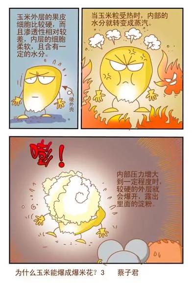 《猫和老鼠科普漫画》第128话 第3页