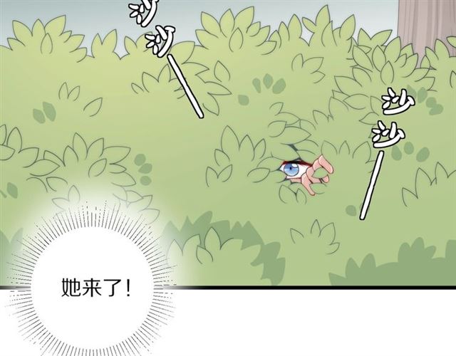《女皇驾到》第38话 示威 第5页