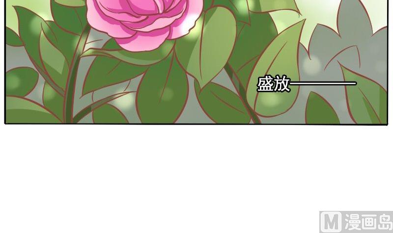 《泽野家的兔子》第115话 第12页