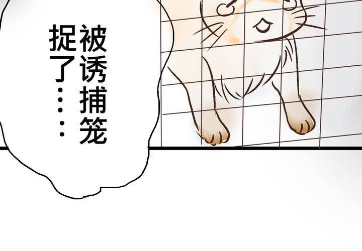 《逗腐教室》#18 [新章] 名为[感情]的花蕾... 第24页