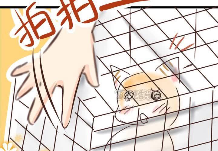 《逗腐教室》#18 [新章] 名为[感情]的花蕾... 第41页