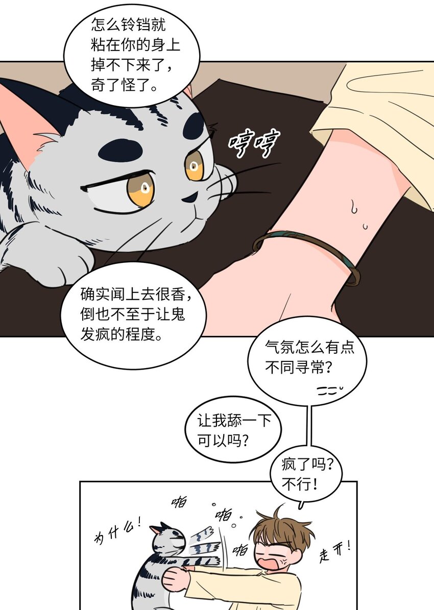 《驯虎的要领》06 一片狼借 第35页