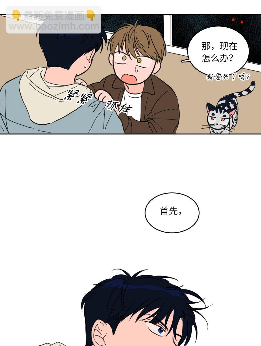 《驯虎的要领》05 捉鬼 第11页