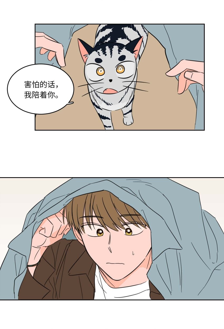 《驯虎的要领》05 捉鬼 第15页