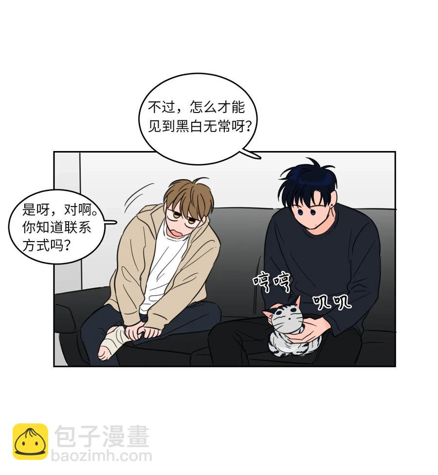 《驯虎的要领》09 要见黑白无常 第20页