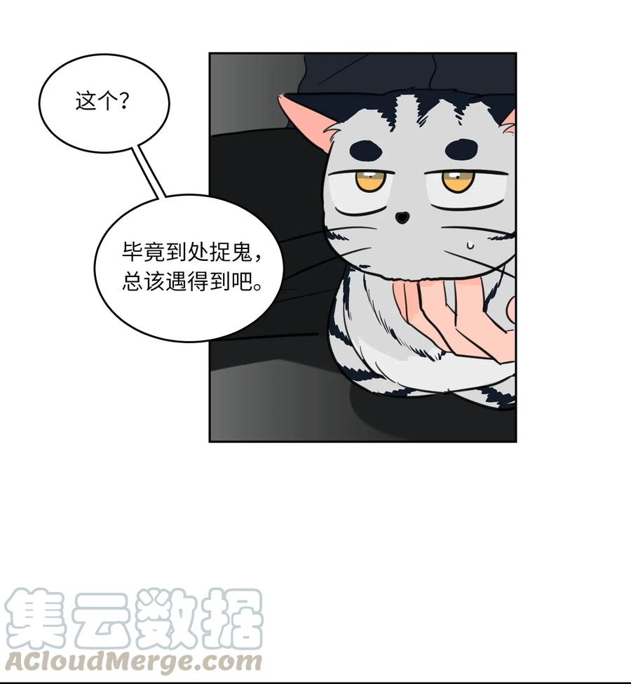 《驯虎的要领》09 要见黑白无常 第21页
