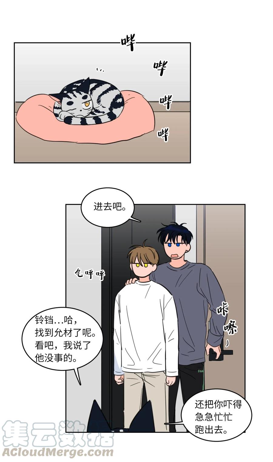 《驯虎的要领》15 随意占用我的身体 第13页