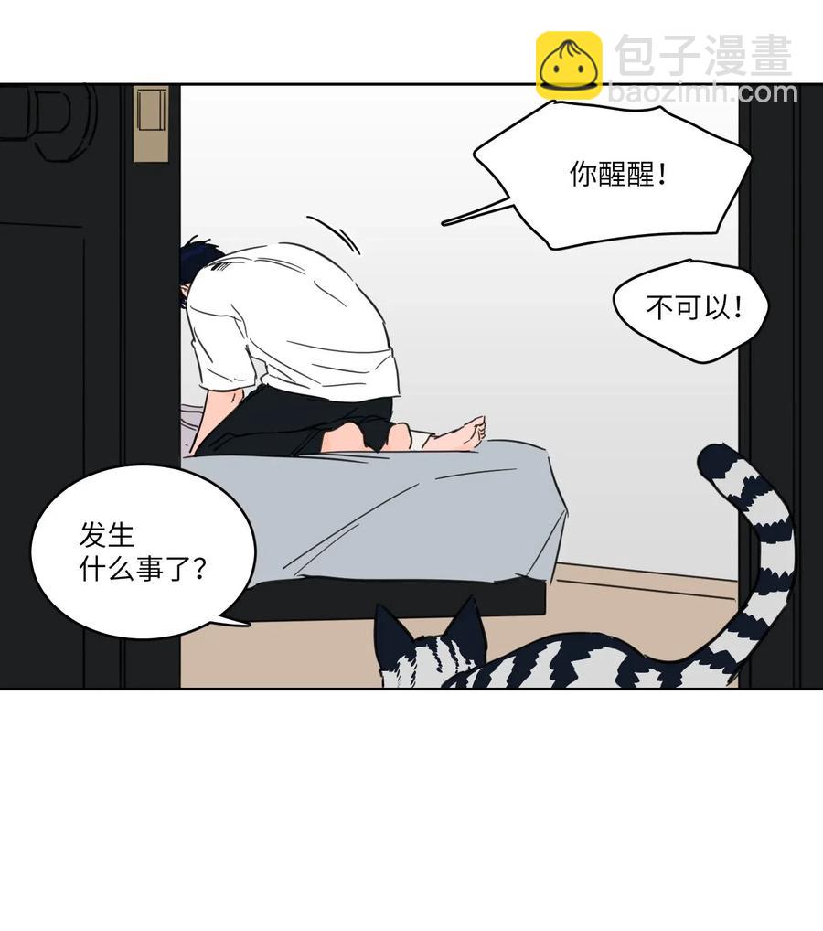 《驯虎的要领》19 取珍珠 第18页